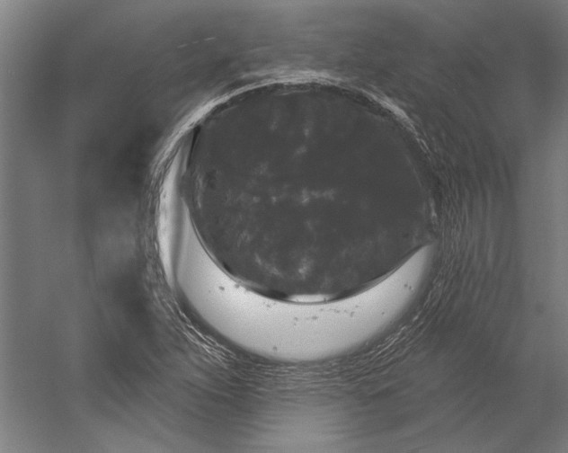 X0000056351263200509091547