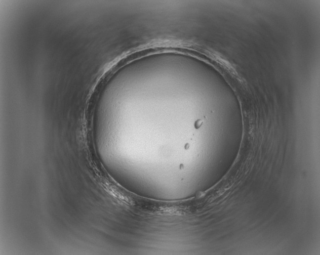 X0000056351264200509091547