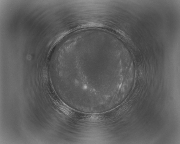 X0000056351266200509091547