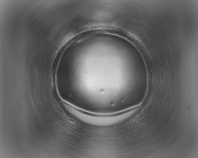 X0000056351267200509091547