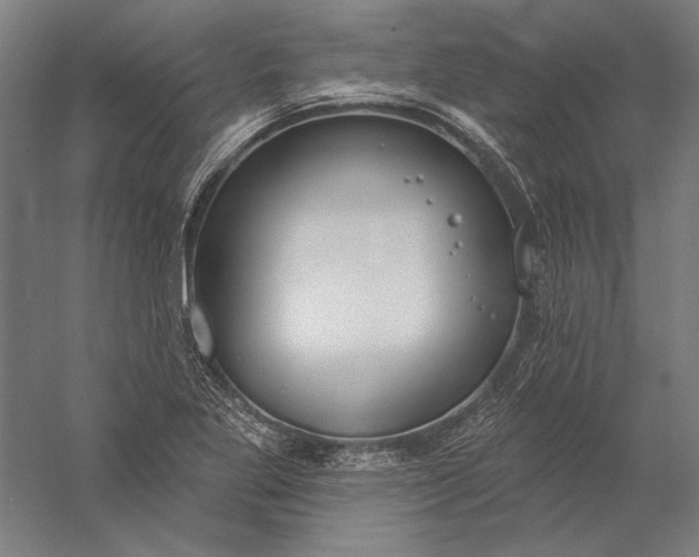 X0000056351269200509091547