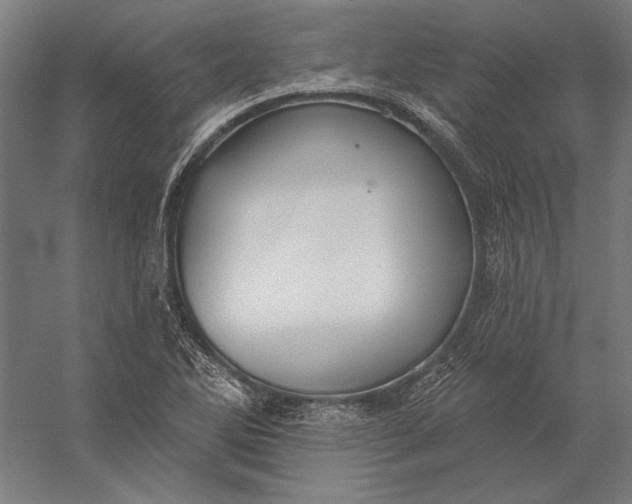 X0000056351270200509091547