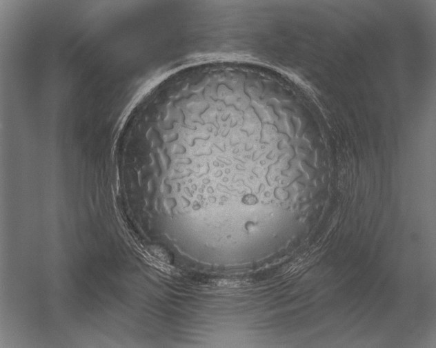 X0000056351271200509091547