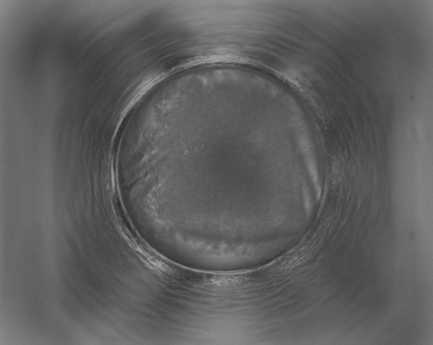 X0000056351274200509091547