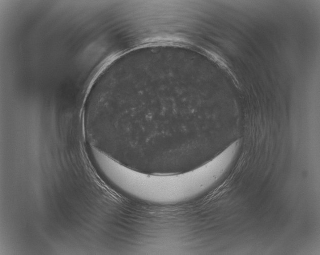 X0000056351275200509091547