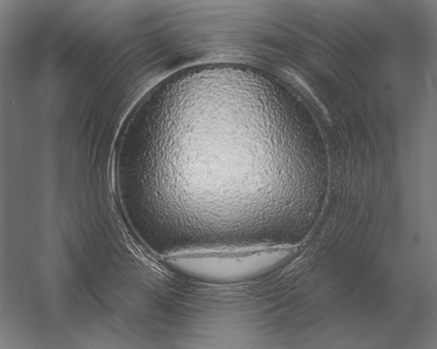 X0000056351276200509091547