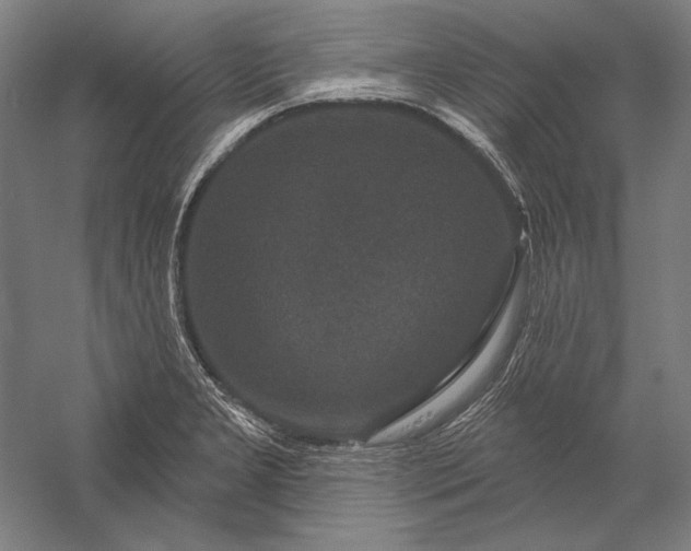 X0000056351277200509091547