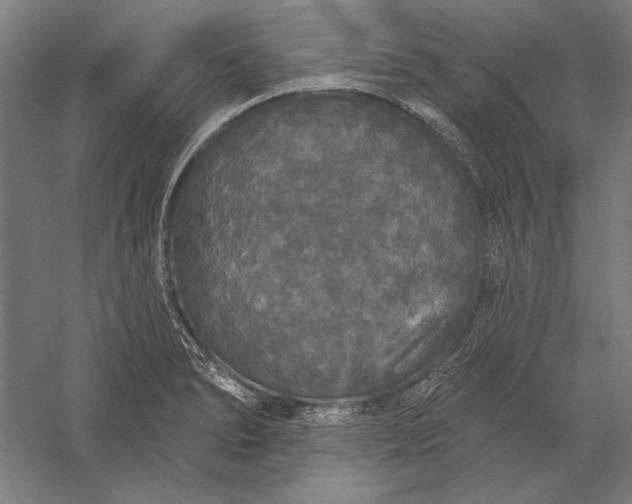 X0000056351278200509091547