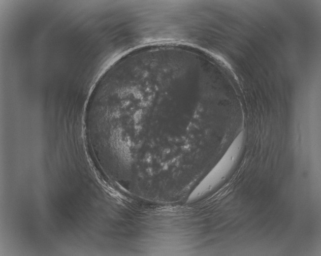 X0000056351279200509091547