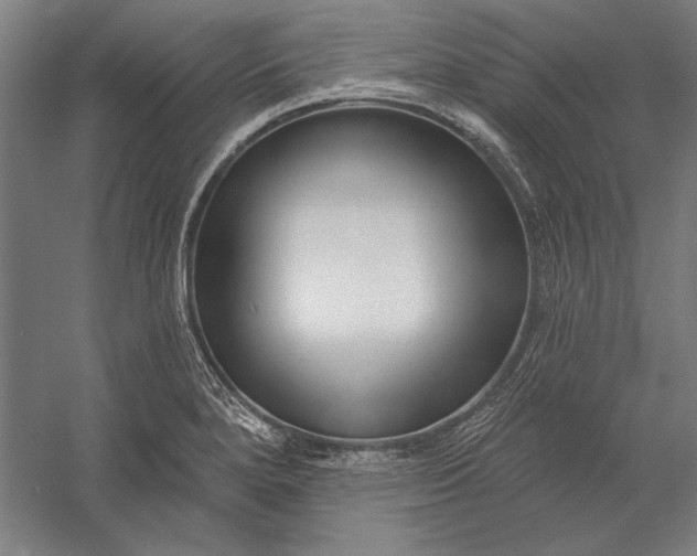 X0000056351280200509091547