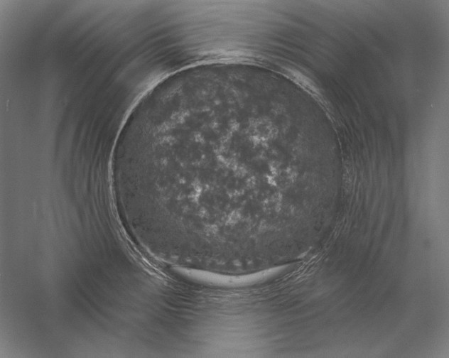 X0000056351283200509091547