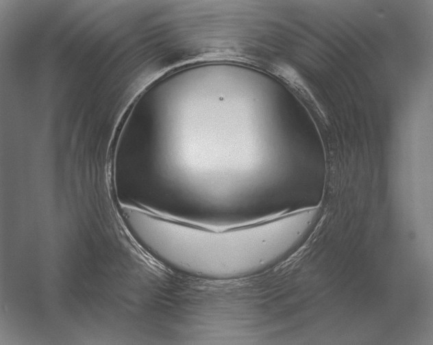 X0000056351284200509091547