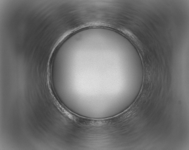 X0000056351286200509091546