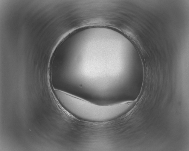 X0000056351288200509091546