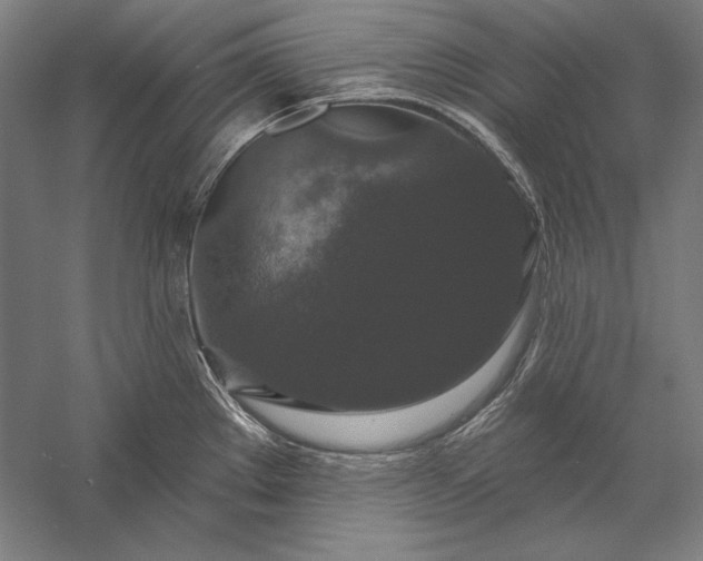 X0000056351289200509091546