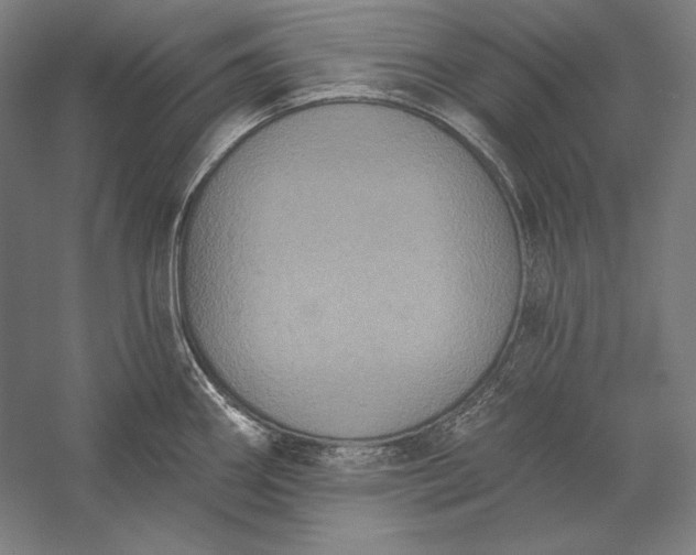 X0000056351290200509091546