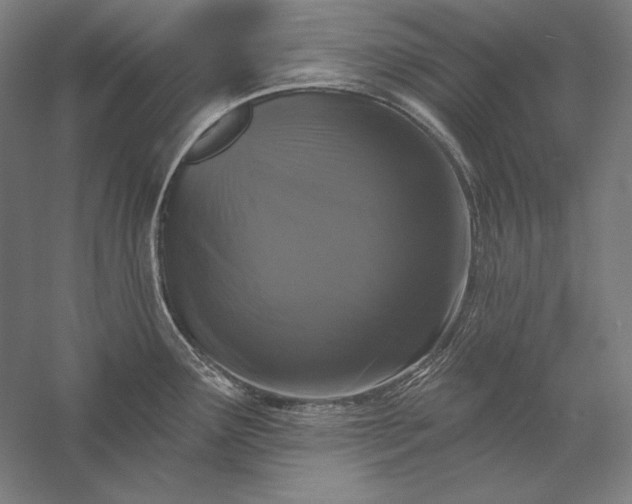 X0000056351291200509091546