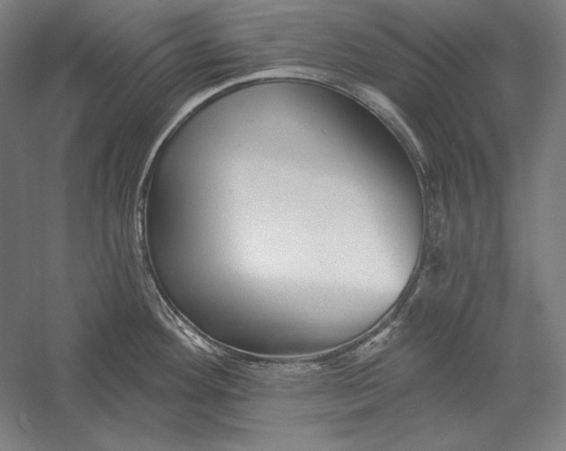 X0000056351292200509091546