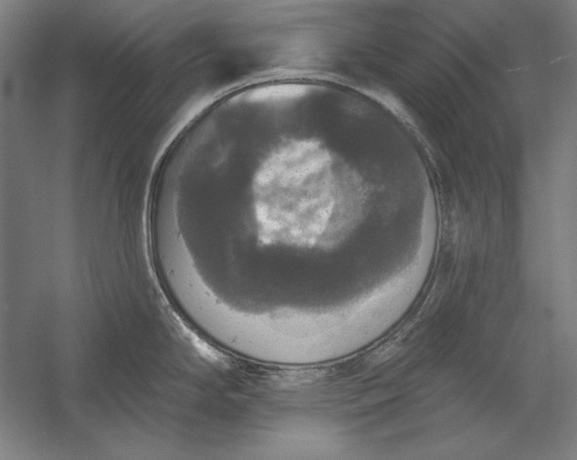 X0000056351294200509091546