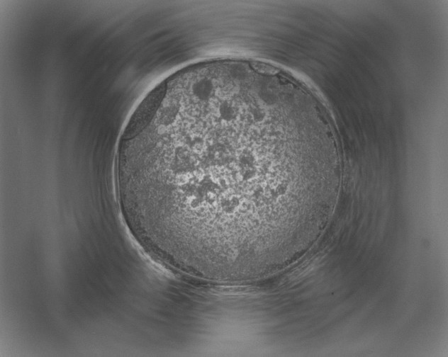 X0000056351295200509091546