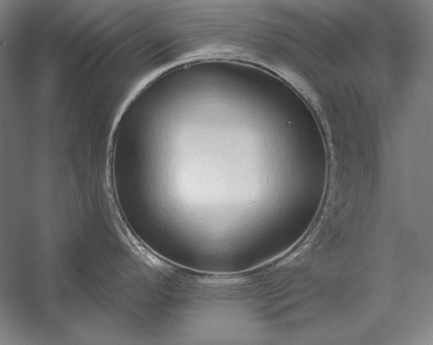 X0000056351296200509091546