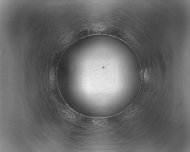 X0000056351299200509091546