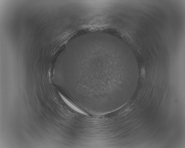 X0000056351300200509091546