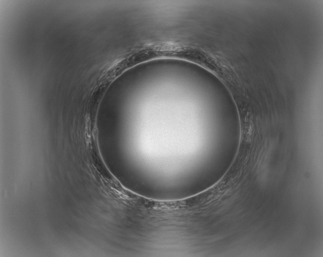 X0000056351301200509091546