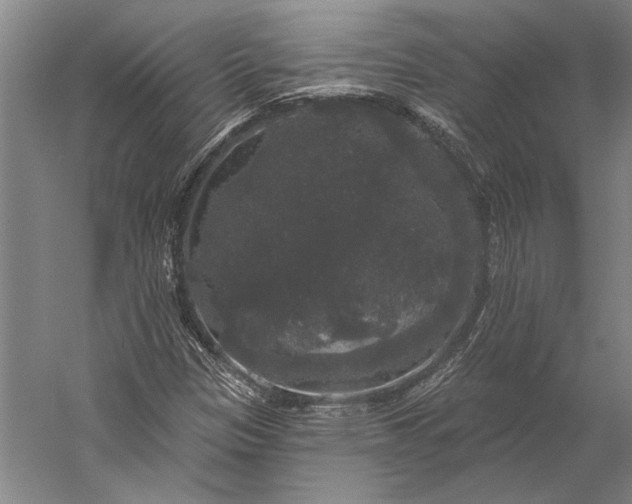 X0000056351305200509091546