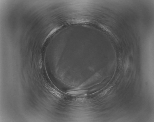 X0000056351306200509091546