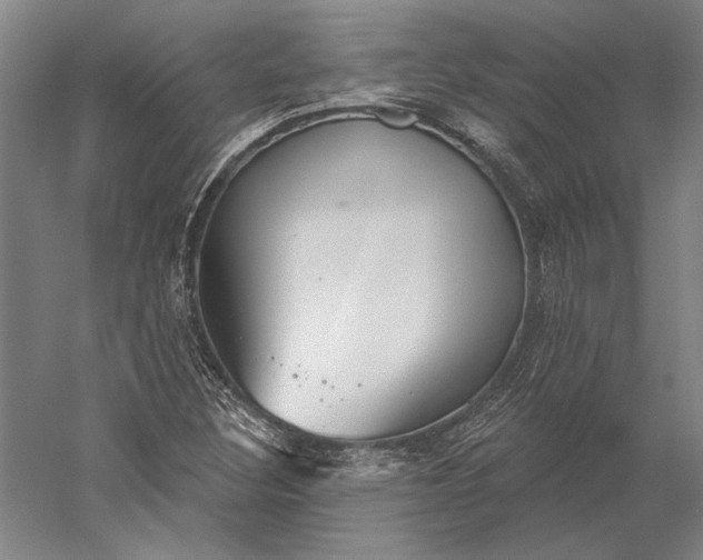 X0000056351308200509091546