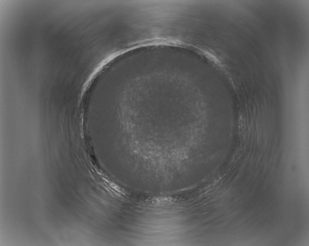 X0000056351310200509091546