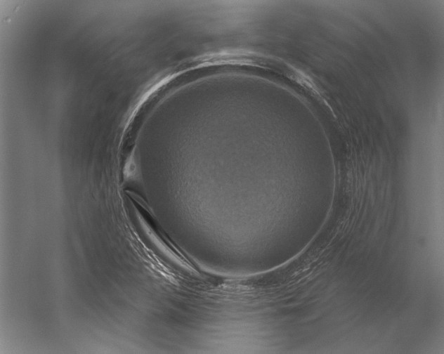 X0000056351312200509091546