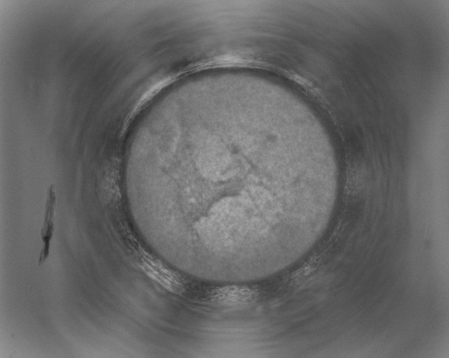 X0000056351314200509091546