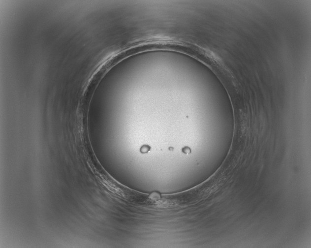 X0000056351318200509091546