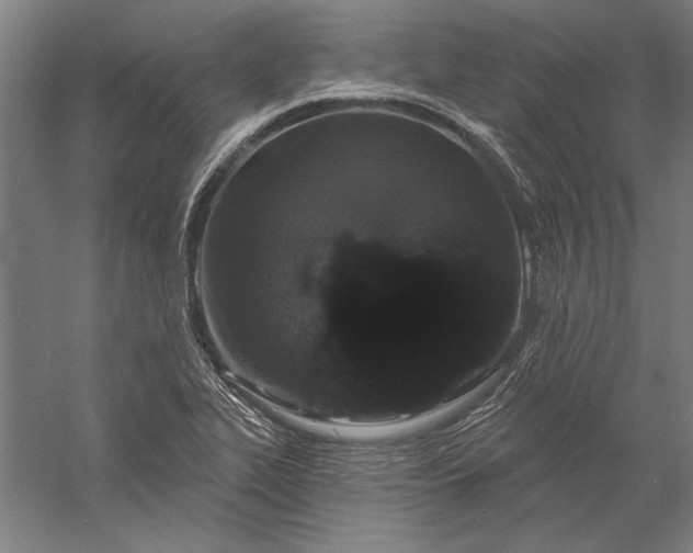 X0000056351319200509091546