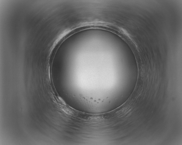 X0000056351320200509091546