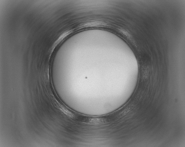 X0000056351322200509091546