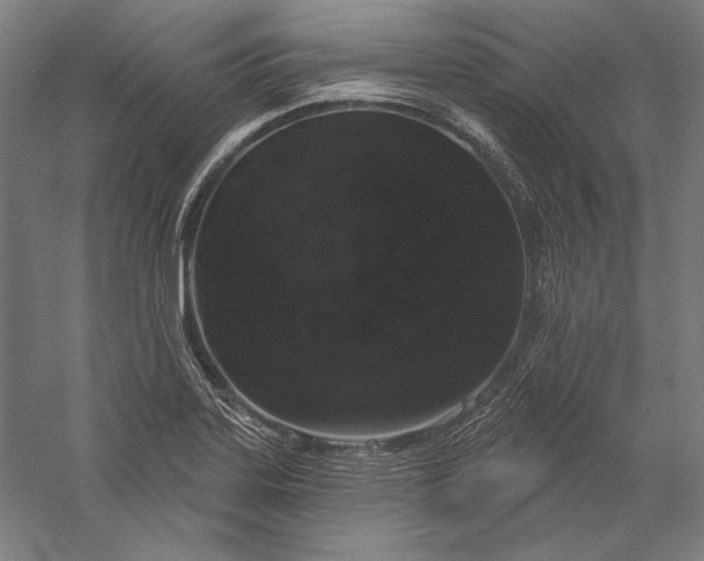 X0000056351323200509091546