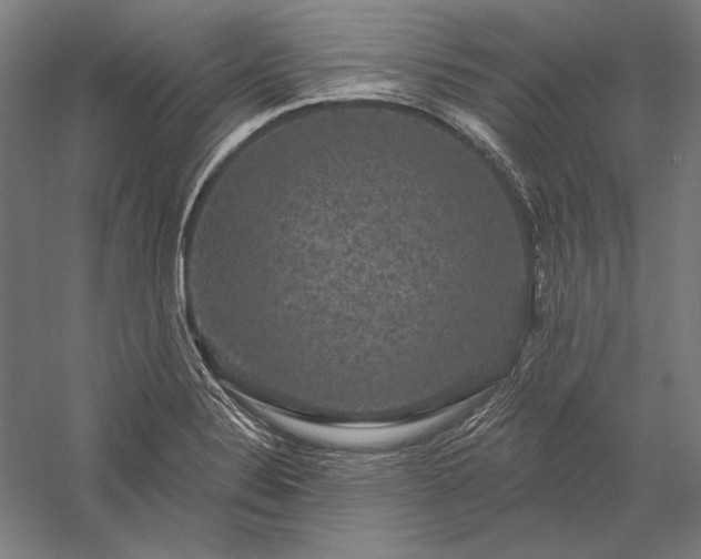 X0000056351324200509091546