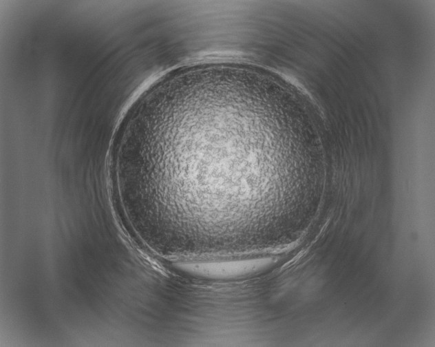 X0000056351325200509091546