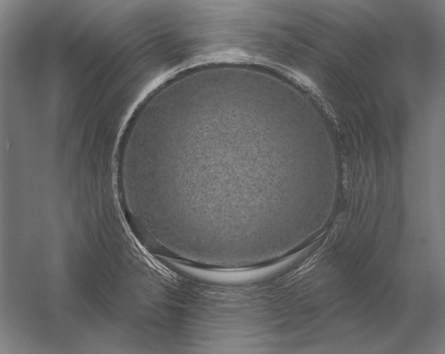 X0000056351326200509091546