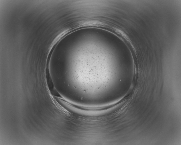 X0000056351330200509091546