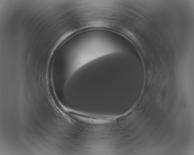 X0000056351331200509091546