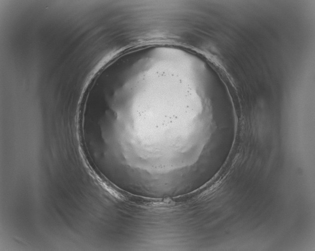 X0000056351333200509091546