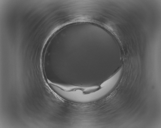 X0000056351334200509091546