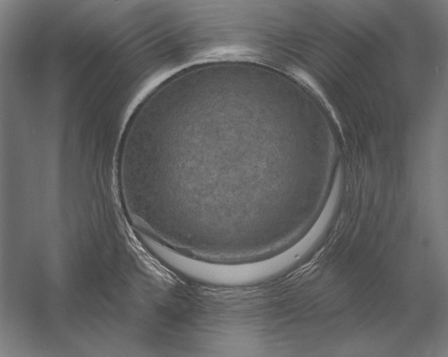 X0000056351336200509091546