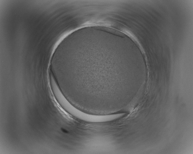 X0000056351344200509091546