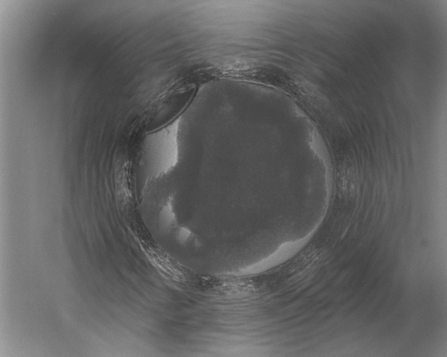 X0000056351346200509091545