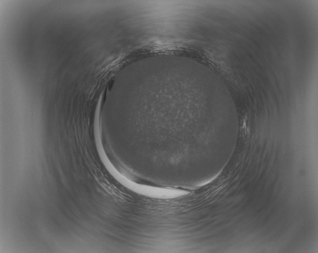 X0000056351348200509091545